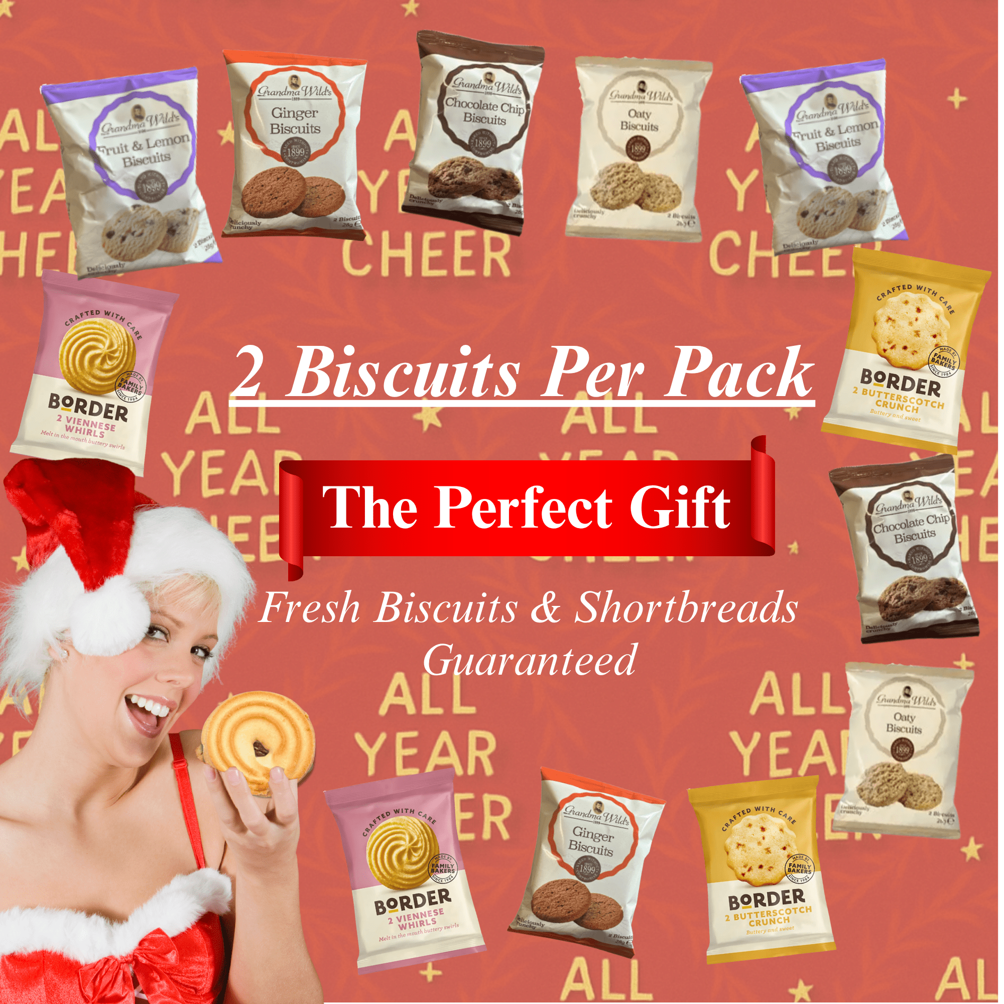 All Year Cheer Christmas 12 Pack Biscuit Tea Gift - All Year Cheer